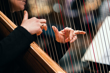 A harp player plucking on the strings of the instrument during a classical symphony orchestra...