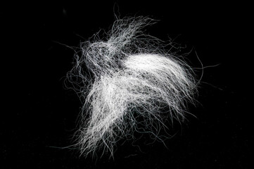 Tuft of white fur, heap gray-haired animal hair isolated on black, top view