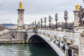 Fototapeta na wymiar View of the Alexandre III bridge in Paris, France