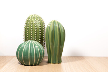 Isolated cactus on white background