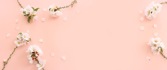 Naklejka na ściany i meble image of spring white cherry blossoms tree over pink pastel background