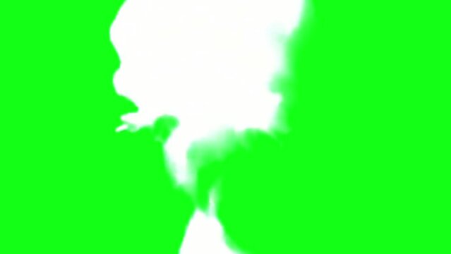 footage of cartoon smoke blowing, with green screen.
