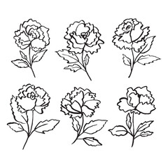 Spring flowers hand drawn vector illustration. Black brush roses silhouettes.