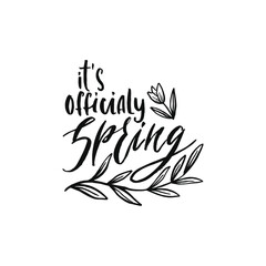 It's officialy spring vector calligraphy with branch and flower.