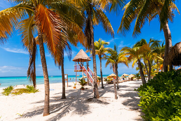 Tropical paradise beach with white sand and coco palms travel tourism wide panorama background. Luxury vacation and holiday, tropical beach resort concept. Beautiful beach design