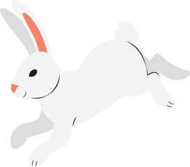 bunny rabbit illustration.