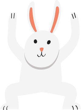 bunny rabbit illustration.
