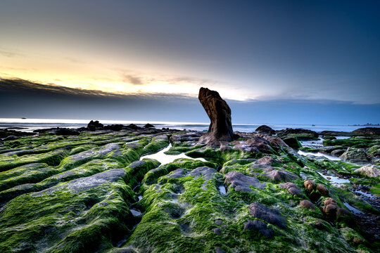 At a season of year at dawn, the stones in the Co Thach coast were fully covered with moss and seaweed. That coast is located in Tuy Phong, Binh Thuan province, Vietnam