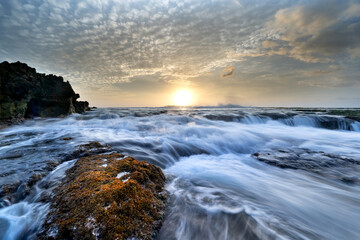 Obraz premium Green sea moss on rocks with sea waves. Close-up shots