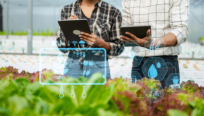 Smart farmer using application by tablet concepts modern vegetables and gardening lettuce at greenhouse. and visual icon..