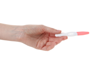 Concept of pregnancy and maternity, isolated on white background