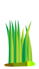 green grass with leaves