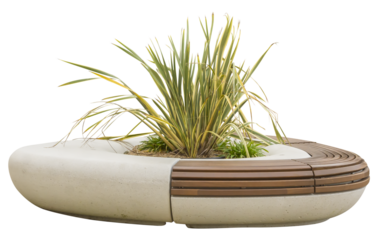 Isolated PNG cutout of a New Zealand flax plant on a triangular street bench on a transparent background, ideal for photobashing, matte-painting, concept art