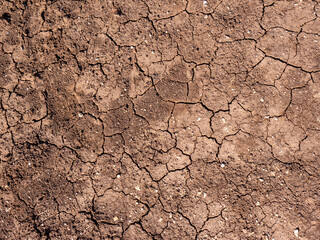 Dry cracked land surface texture top view