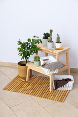 Cozy hobby - growing indoor plants at home