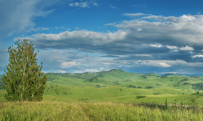 View of a summer day in the mountains, green meadows, mountain slopes and hills, countryside
