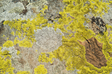 Texture of natural stone, rough background