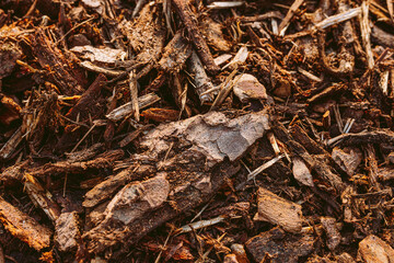 Brown natural background of crushed tree bark