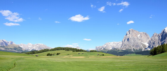 Seiser Alm in Südtirol , Urlaubsziel in Südtirol, berühmtes Wanderparadies, Italien, Europa im...