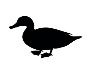 Vector flat duck silhouette isolated on white background