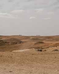 Fototapeta na wymiar Camels on the horizon, sandy hills of Giza, Egypt