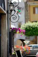 Fototapeta na wymiar Flowers on narrow old streets of the famous Pitigliano town. Beautiful italian towns and villages. Etruscan heritage, Grosseto, Tuscany, Italy.