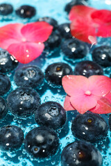 Blueberry with flowers in water, concept of freshness