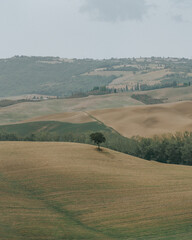 Obraz premium Tuscany landscape, Val De Orcia Valleys, Italy