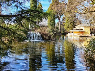 Fototapeta premium autumn in the park