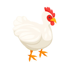 Isometric Hen Poultry Composition