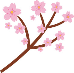 Beautiful pink Sakura Cherry Blossom illustration.