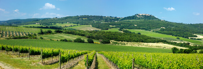 Stunning view of wineyards and farmlands with small villages on the horizon. Tuscany, Italy.
