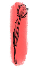 Tulip with red paint stroke as a background. A floral graphic element, drawing of a blooming flower with leaves for design and decoration of packaging, cards
