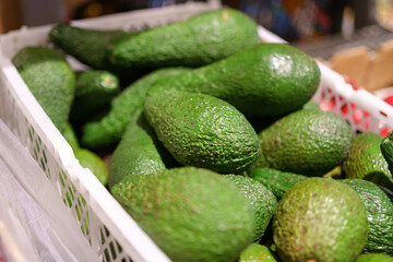 Green avocado in supermarkets fruits and vegetables aisle in a store. Selective focus