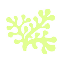 seaweed flat vector cartoon color illustration on white background