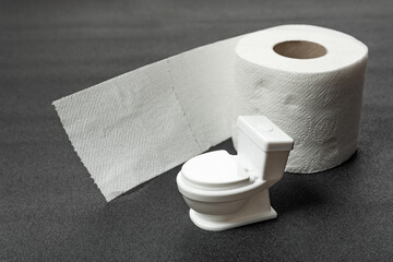 Roll of toilet paper and small toy toilet bowl on gray background. Hygiene products for the restroom.