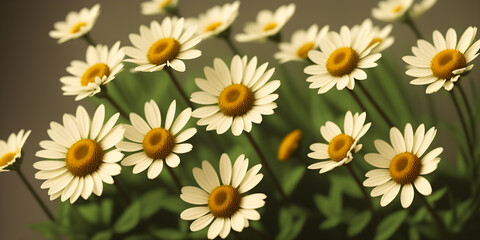 A bouquet of white chamomile close up with a yellow center on green stems. Nature illustration. Generative AI