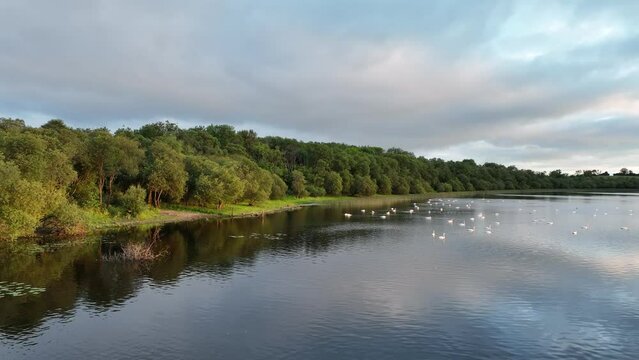 drone shot of lough oughter lake at sunrise, cavan, ireland