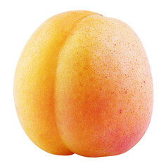 Single whole apricot or yellow plum fruit isolated on transparent background. Full depth of field.