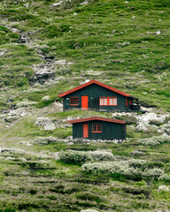 Scandinavian house in Norway