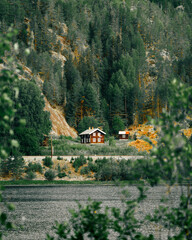 Scandinavian house in the forest with lake in Norway