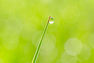 sunshine in dew drop hanging on blade