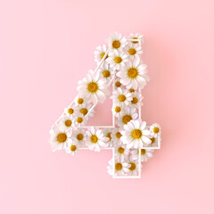 Number 4 made of natural chamomile flowers. Cute camomiles number four. Spring flower numbers concept isolated on cute pastel pink background. Top view. 3d render illustration.