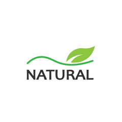 Natural Leaf nature eco Logo Design Template