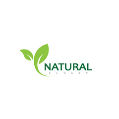Natural Leaf nature eco Logo Design Template