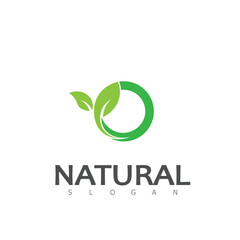 Natural Leaf nature eco Logo Design Template