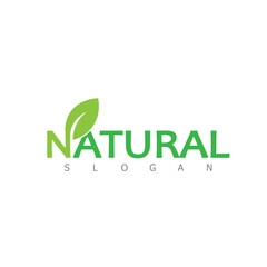 Natural Leaf nature eco Logo Design Template