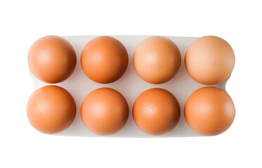 a set of chicken brown selected eggs in a stand on a transparent background, top view