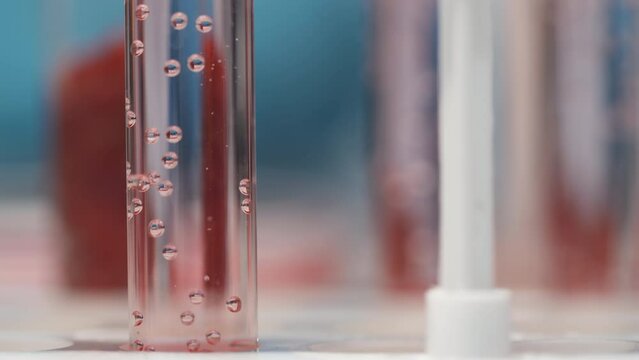 Part of flask containing transparent fizzy liquid and tiny piece of lab-grown meat falling down on bottom of test tube during scientific experiment in chemical laboratory