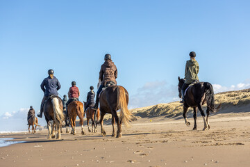 Horse riding on the Beach in the moring sun!